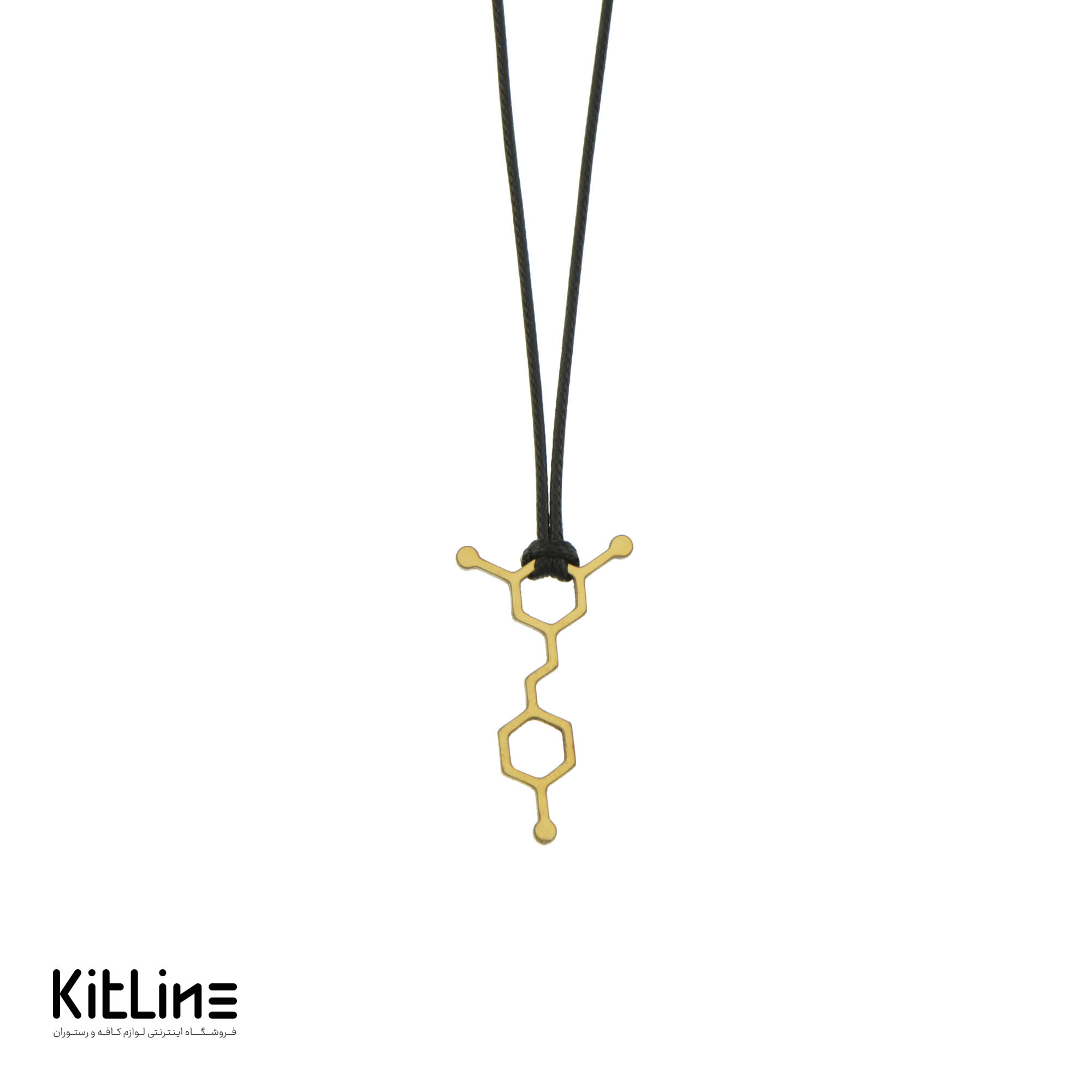 گردنبند بند چرمی با آویز استیل طرح فرمول WINE طلایی