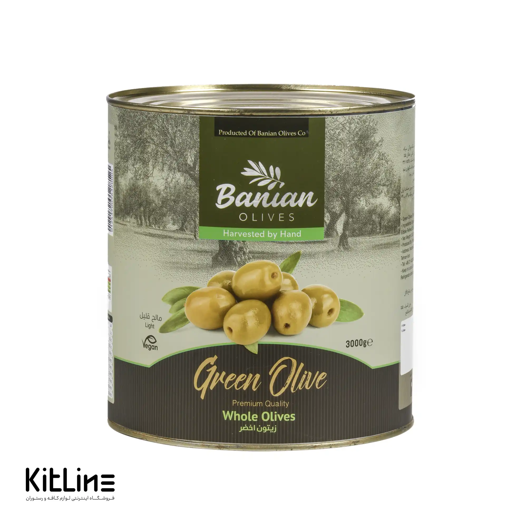 زیتون سبز با هسته کنسروی سوپر بانیان ۳ کیلوگرمی