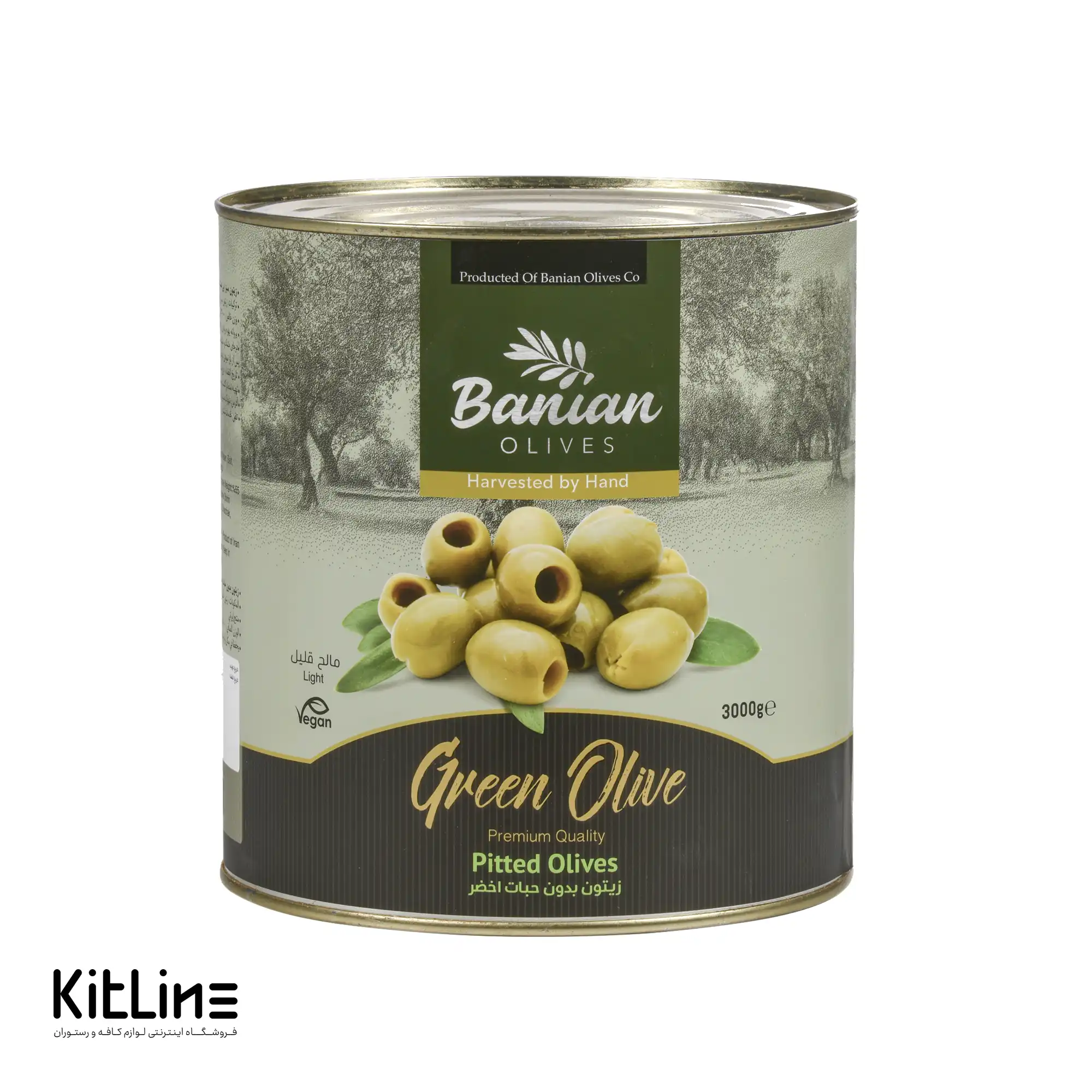 زیتون سبز بی هسته کنسروی سوپر بانیان ۳ کیلوگرمی