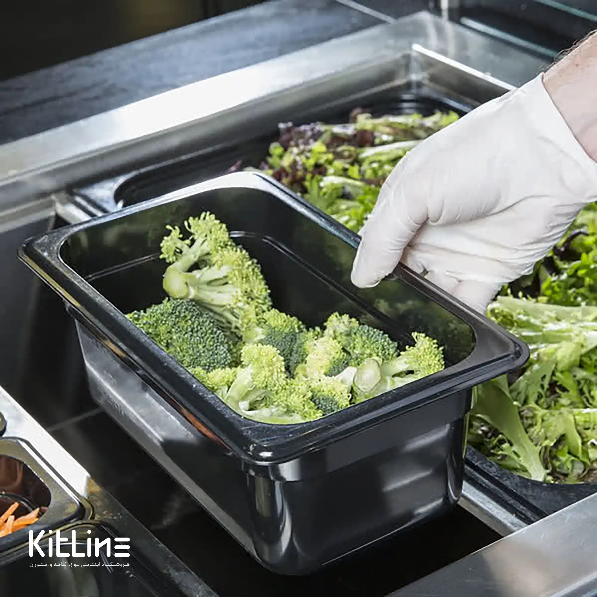 بن ماری ۱/۴ پلی کربنات عمق ۱۰ مشکی به همراه در - تصویر 5