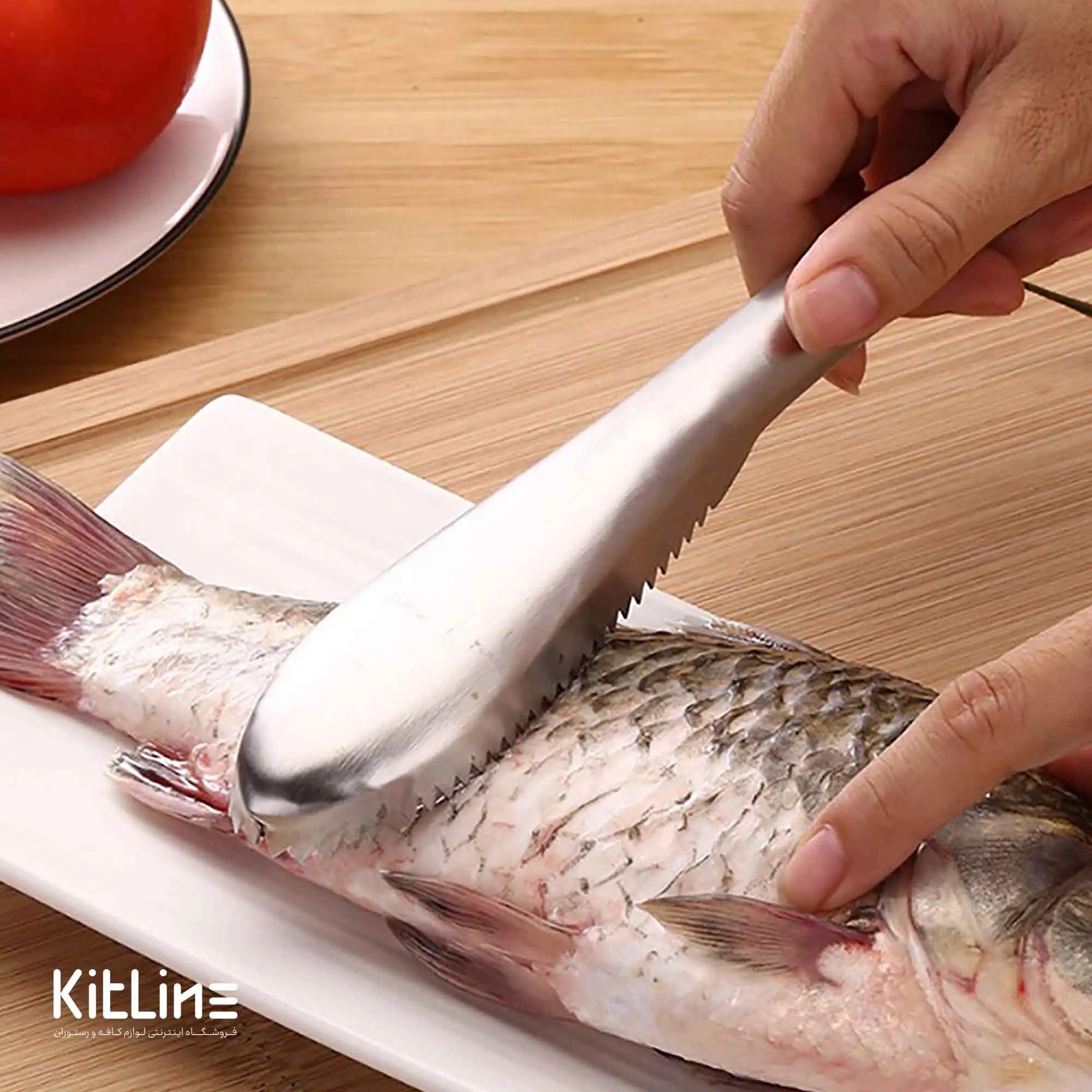 فلس گیر ماهی استیل ۲۳ سانتیمتری - تصویر 4