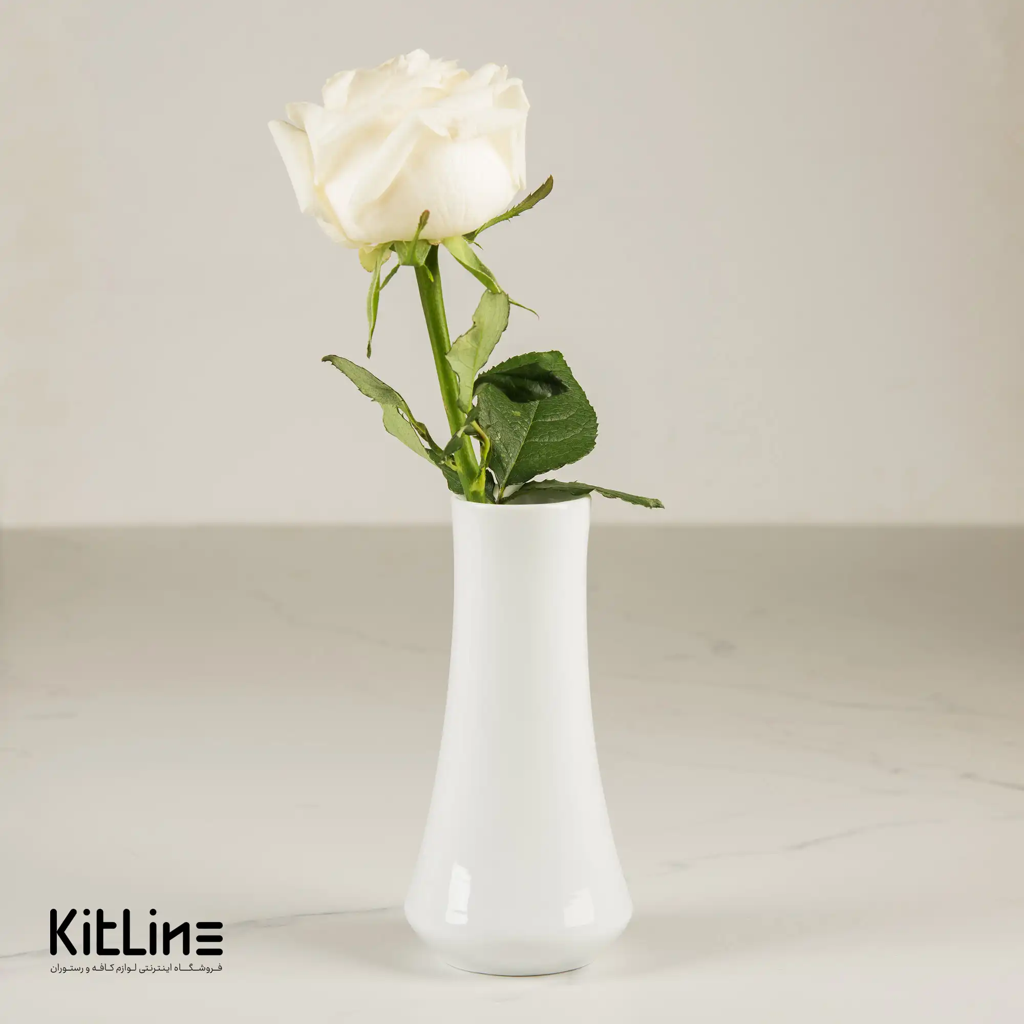 گلدان چینی هتلی ۲۱ سانتیمتری تقدیس - تصویر 4