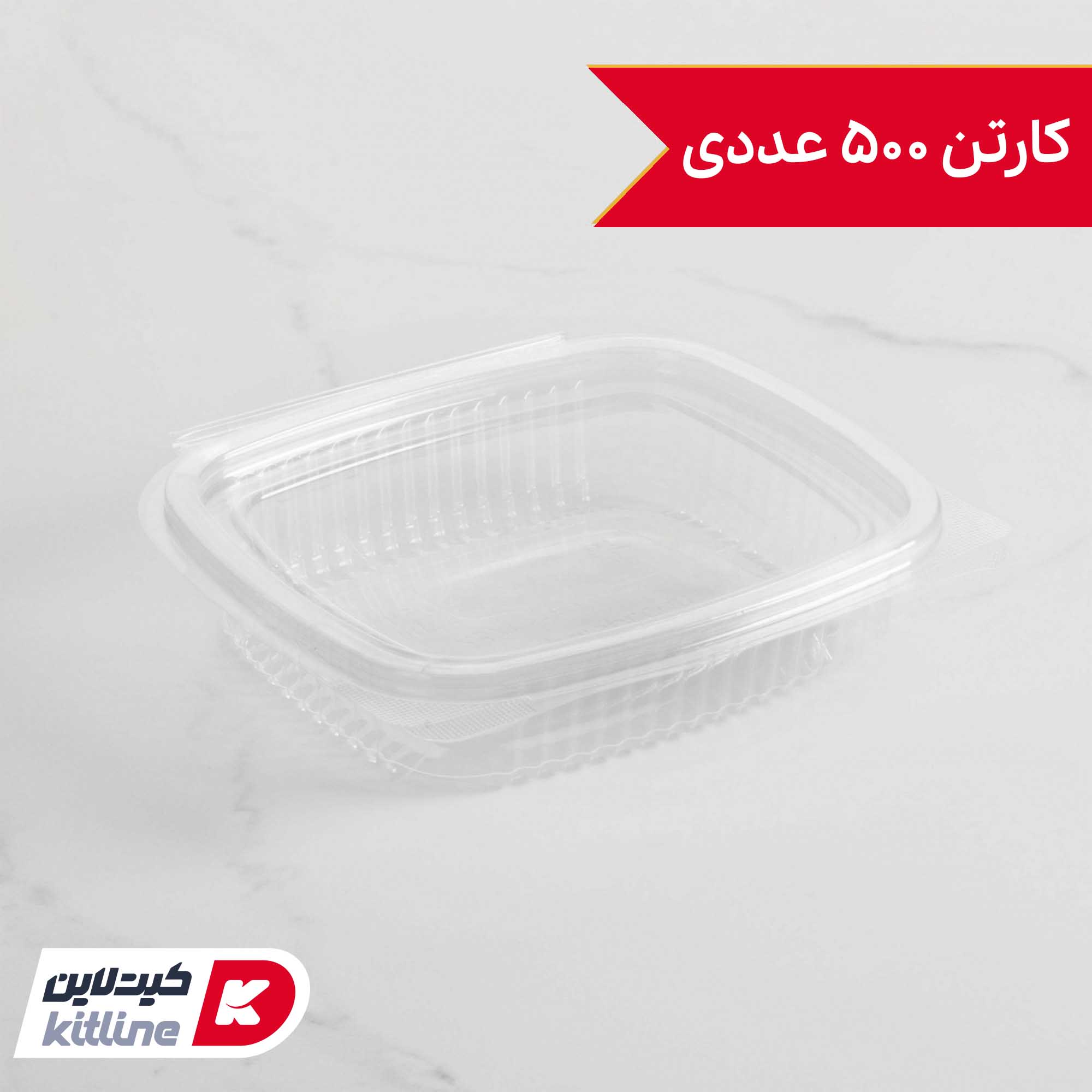 ظرف یکبار مصرف ۱۳×۱۴ سانتیمتری شفاف همراه در مدل دلی رویال ۲۵۰ (کارتن ۵۰۰ عددی)